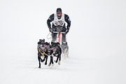 p-f.ch_130223_1611_1269_1D