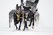 p-f.ch_130223_1611_1288_1D