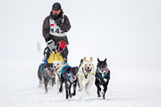 p-f.ch_130223_1615_1337_1D