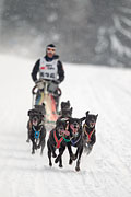 p-f.ch_130223_1623_1397_1D
