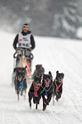 p-f.ch_130223_1623_1401_1D