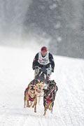 p-f.ch_130223_1625_1404_1D