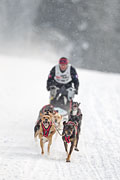 p-f.ch_130223_1625_1405_1D
