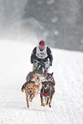 p-f.ch_130223_1625_1406_1D