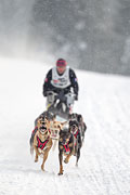 p-f.ch_130223_1625_1408_1D