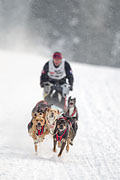 p-f.ch_130223_1625_1409_1D