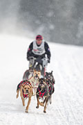 p-f.ch_130223_1625_1410_1D