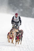 p-f.ch_130223_1625_1411_1D