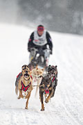 p-f.ch_130223_1625_1415_1D