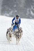 p-f.ch_130223_1627_1431_1D
