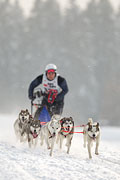 p-f.ch_130223_1629_1447_1D