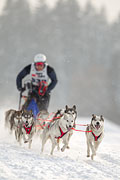p-f.ch_130223_1629_1452_1D