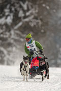 p-f.ch_130223_1641_1540_1D