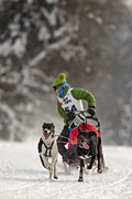 p-f.ch_130223_1641_1543_1D