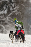 p-f.ch_130223_1641_1544_1D