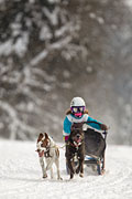 p-f.ch_130223_1641_1556_1D