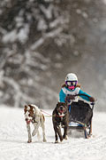 p-f.ch_130223_1641_1559_1D
