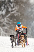 p-f.ch_130223_1642_1570_1D