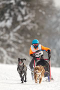 p-f.ch_130223_1642_1571_1D