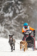 p-f.ch_130223_1642_1574_1D