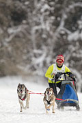 p-f.ch_130223_1644_1596_1D