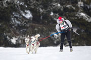 p-f.ch_130224_1019_1758_1D