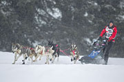p-f.ch_130224_1116_2025_1D