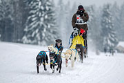 p-f.ch_130224_1133_2138_1D