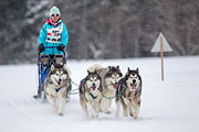 p-f.ch_130224_1314_2663_1D