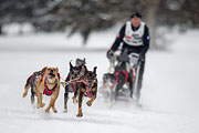 p-f.ch_130224_1342_2780_1D
