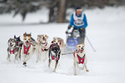 p-f.ch_130224_1352_3048_1D