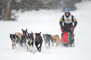 p-f.ch_130224_1404_3198_1D