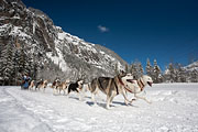 p-f.ch_130216_1118_7522_5D