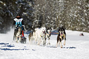 p-f.ch_130216_1220_4382_1D