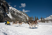 p-f.ch_130216_1257_7576_5D