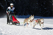 p-f.ch_130216_1346_4512_1D