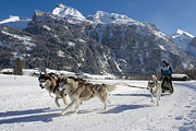 p-f.ch_130216_1421_4623_1D