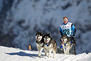 p-f.ch_130216_1437_9408_1D