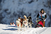 p-f.ch_130216_1439_9433_1D