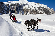 p-f.ch_130217_1250_5405_1D