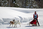 p-f.ch_130217_1331_5549_1D