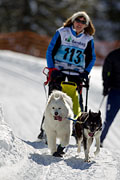 p-f.ch_130217_1335_9891_1D