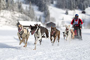 p-f.ch_130209_1211_1028_1D