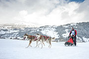 p-f.ch_130209_1432_7331_5D