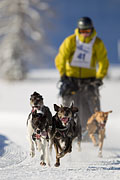 p-f.ch_130210_1044_2829_1D