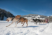 p-f.ch_130210_1142_7395_5D