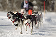 p-f.ch_130210_1145_3174_1D