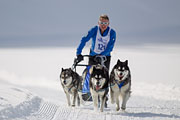 p-f.ch_130210_1325_3672_1D