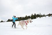 p-f.ch_130309_0913_7906_5D