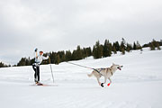 p-f.ch_130309_0917_7910_5D